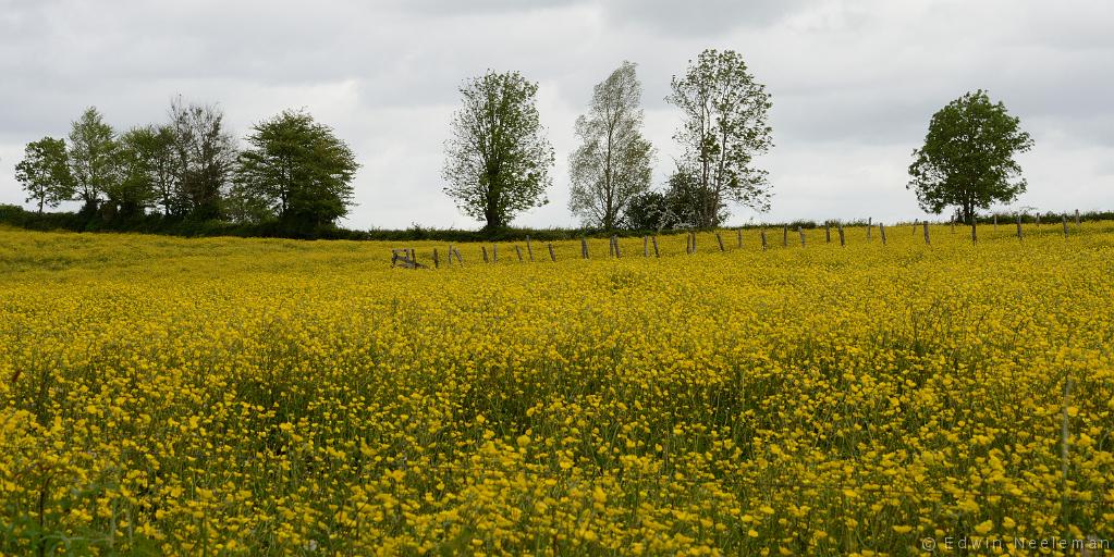 ENE-20140511-0362.jpg - Vareilles, Saône-et-Loire